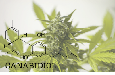 En vertu de la loi sur le cannabis, une licence fédérale doit être obtenue auprès de Santé Canada pour faire de la recherche sur le cannabis (licence de recherche) et faire des essais analytiques (licence d'essais analytiques). 