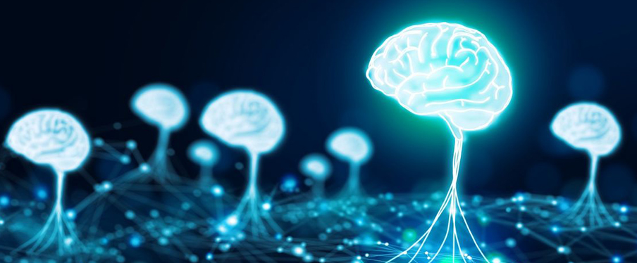 Une équipe de recherche présente un nouveau modèle neuro-informatique du cerveau humain qui permettrait de mieux comprendre la façon dont il développe des capacités cognitives complexes.
